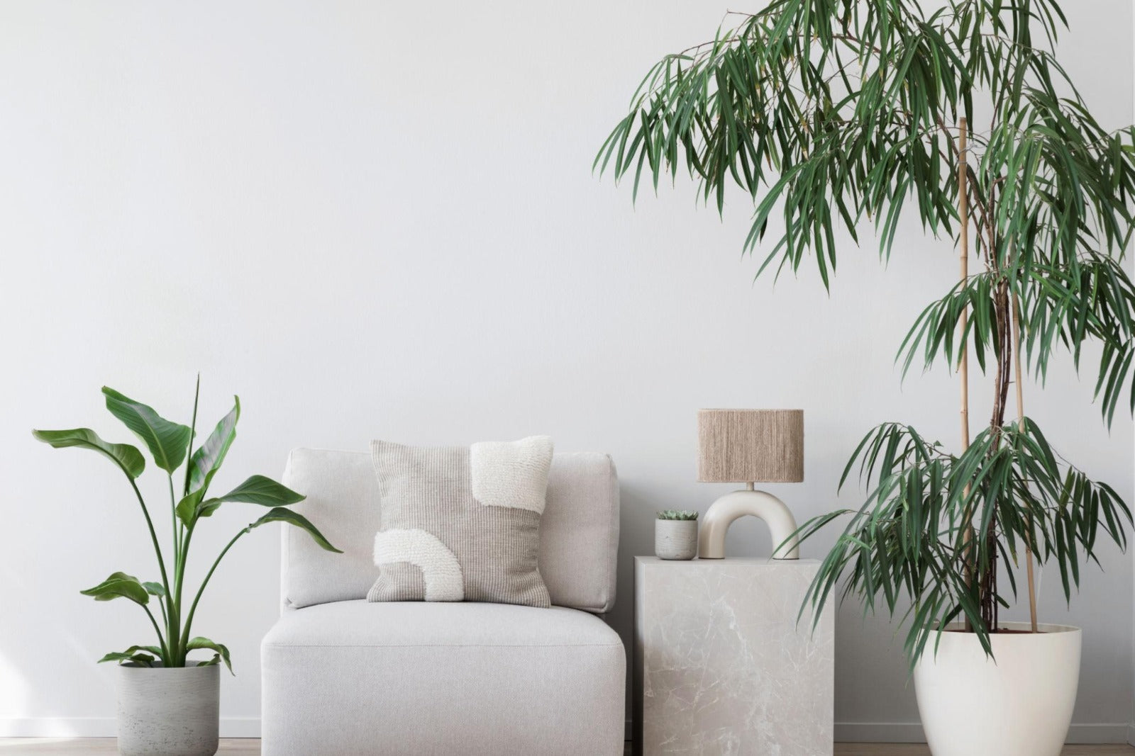 Ilan and the standard of Artificial Plants