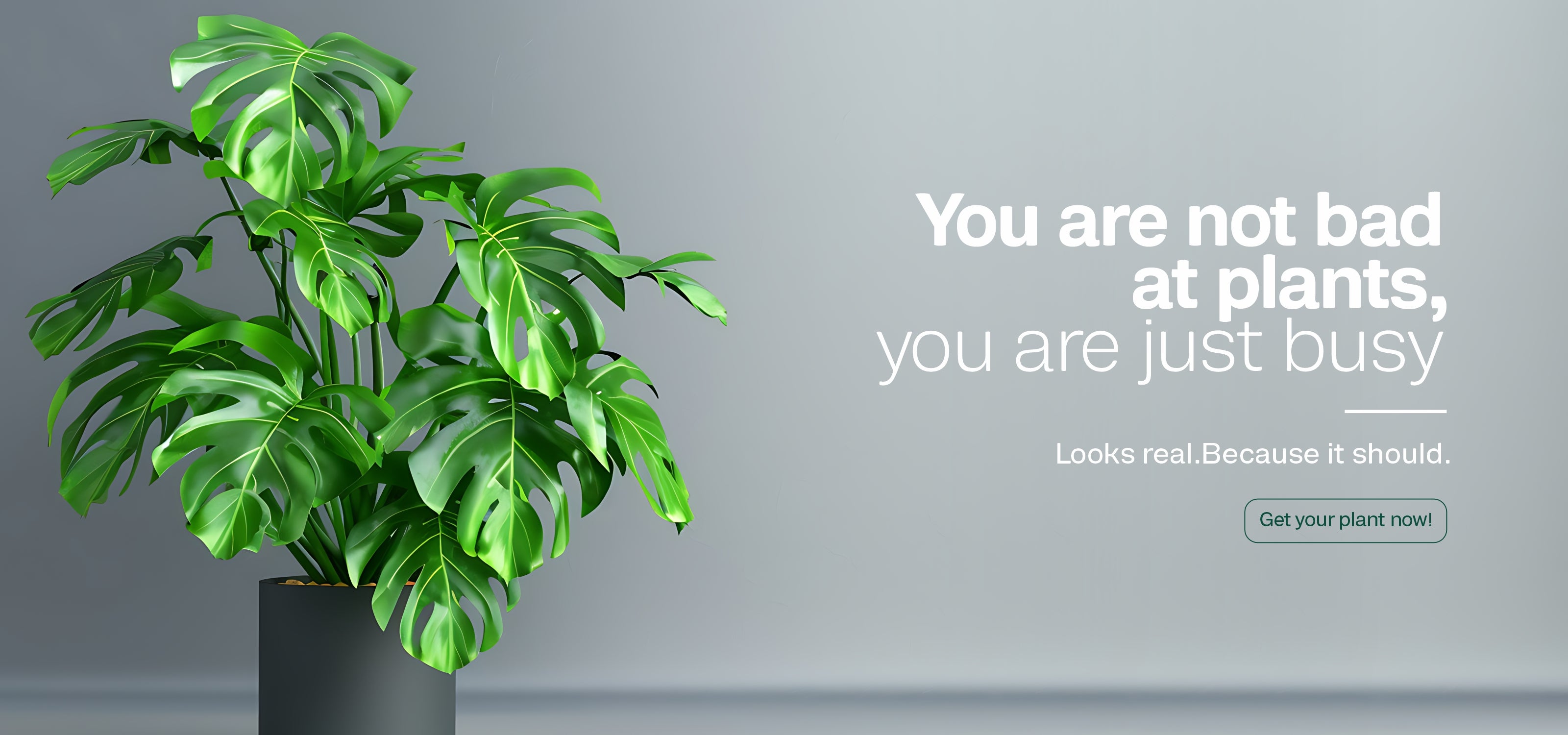 Products – ILAN