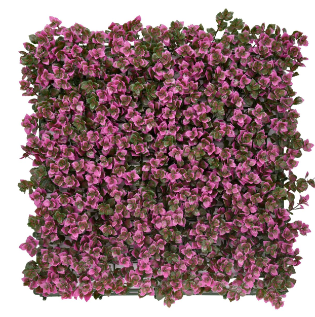 Wild Petunia Blossom