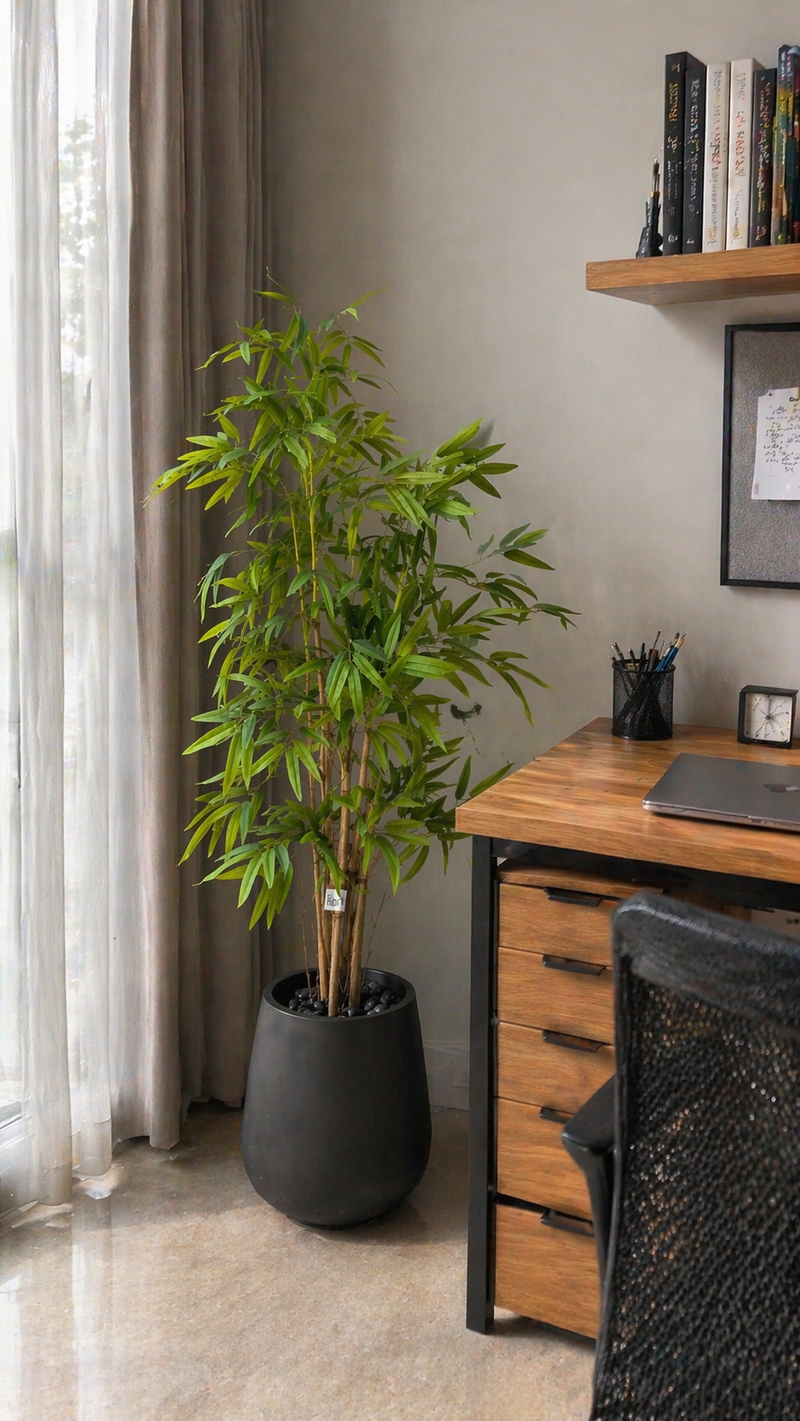 Bamboo Bliss - 6 Feet - ILAN INDIA