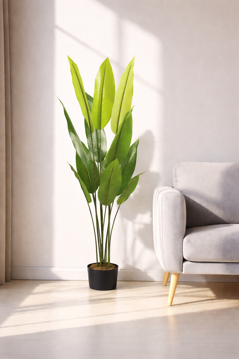 Bird Of Paradise - 4.75 Feet - ILAN INDIA
