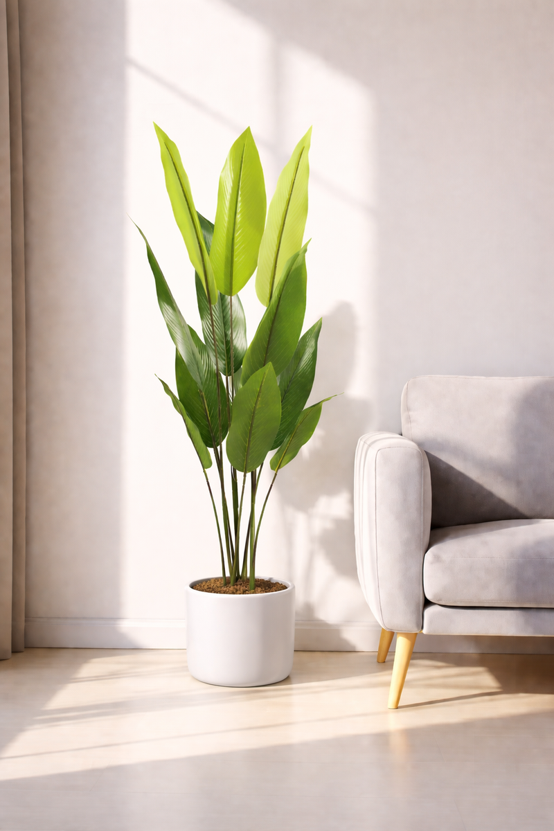 Bird Of Paradise - 4.75 Feet - ILAN INDIA