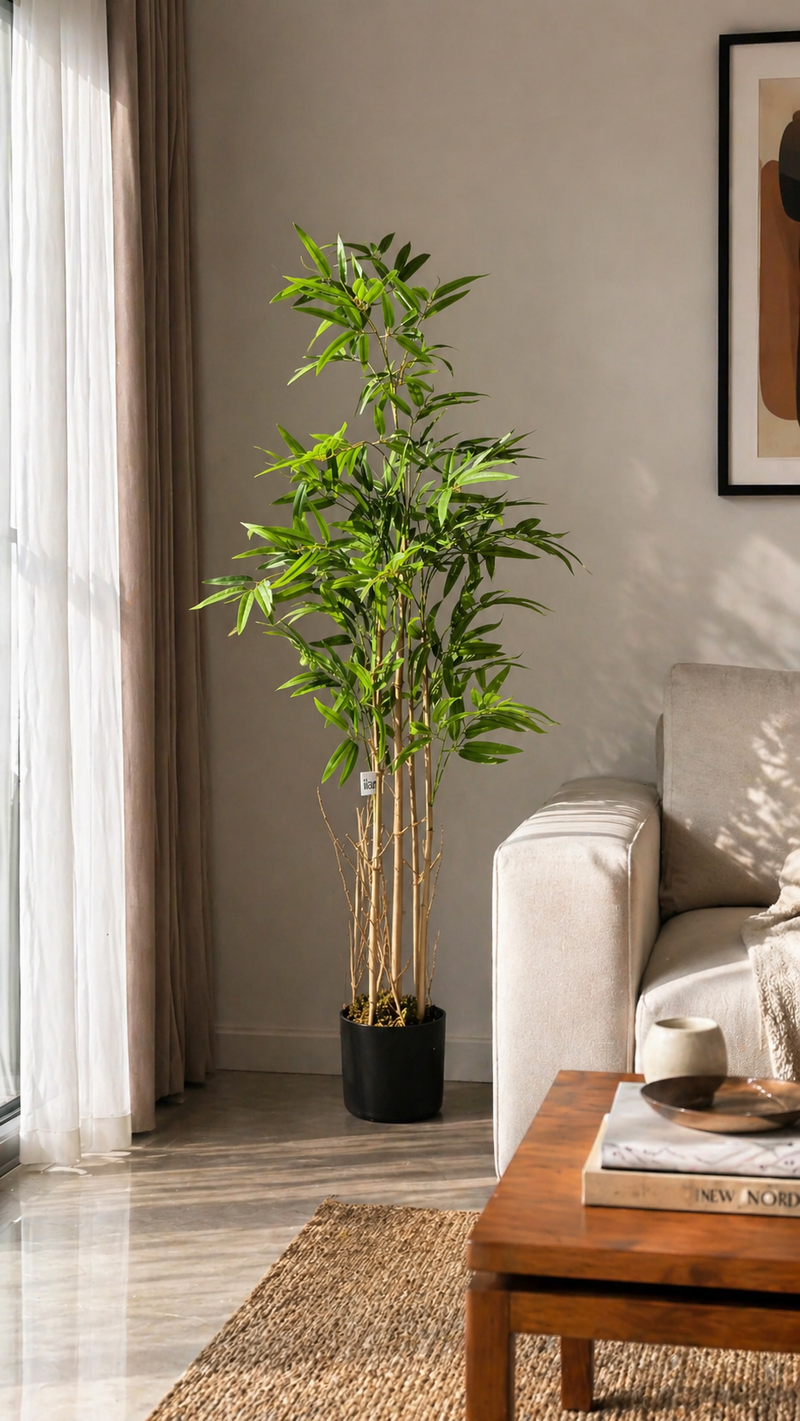 Bamboo Bliss - 6 Feet - ILAN INDIA