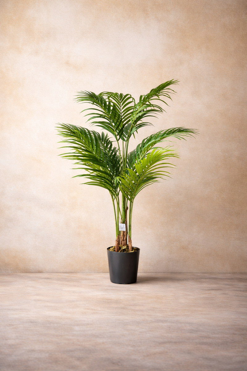 Palm Tree - 4 Feet - ILAN INDIA
