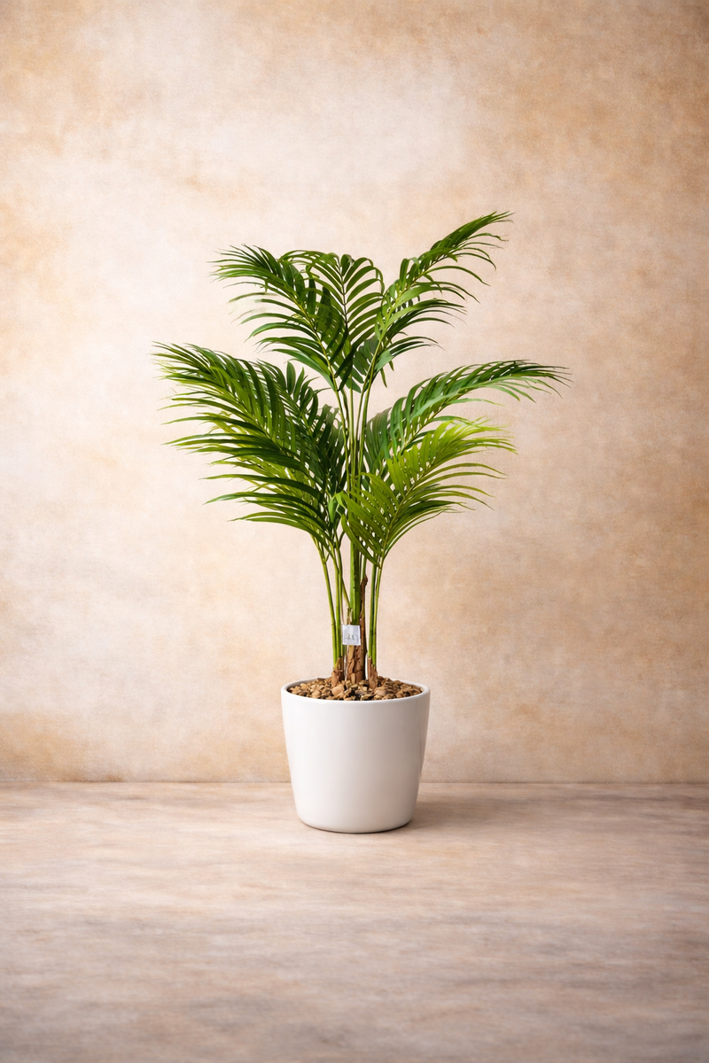 Palm Tree - 4 Feet - ILAN INDIA
