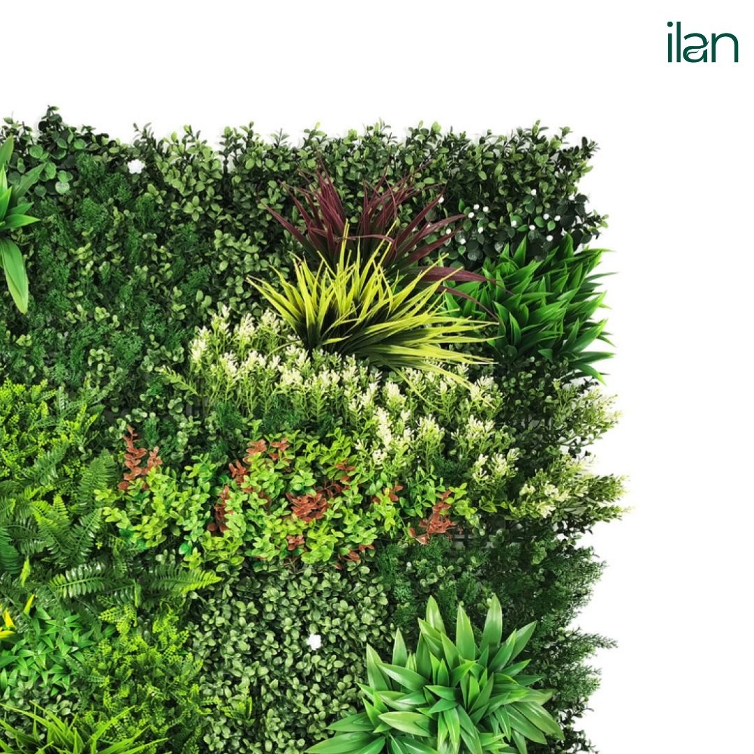 Jungle Rosetta - ILAN INDIA