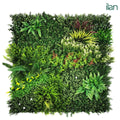 Jungle Rosetta - ILAN INDIA