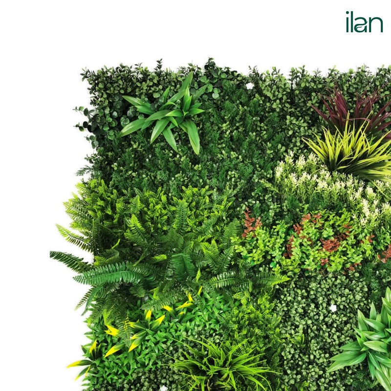 Jungle Rosetta - ILAN INDIA