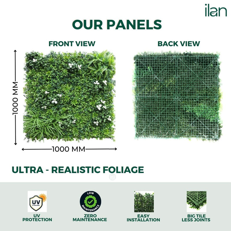 Premium Glorius 2 - ILAN INDIA