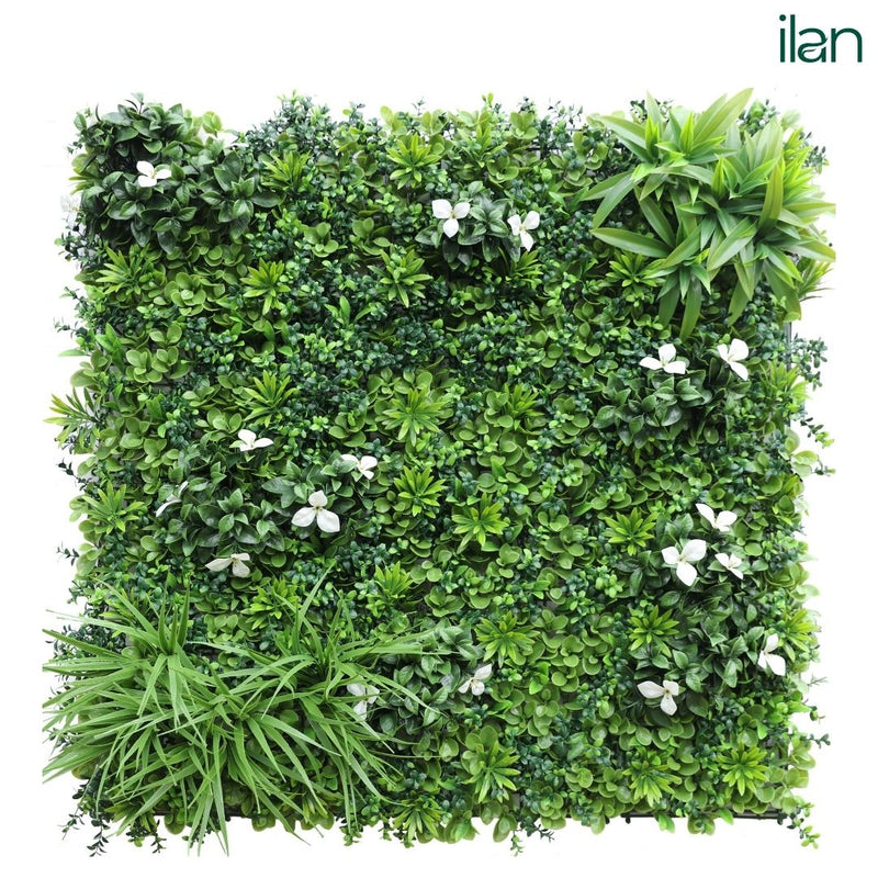 Premium Glorius 2 - ILAN INDIA