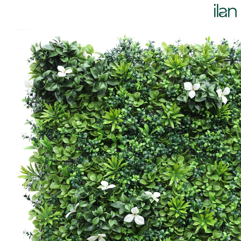 Premium Glorius 2 - ILAN INDIA