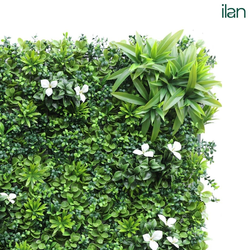 Premium Glorius 2 - ILAN INDIA