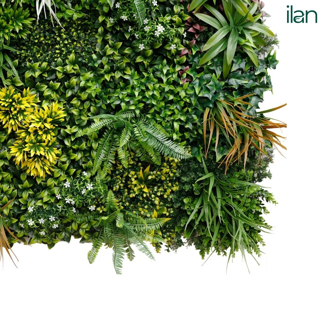 Autumnal Touch - ILAN INDIA