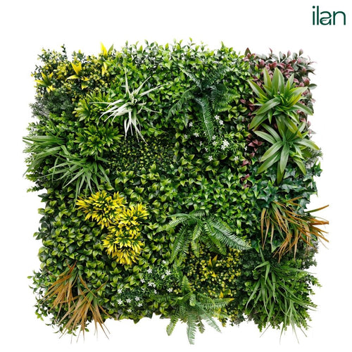 Autumnal Touch - ILAN INDIA