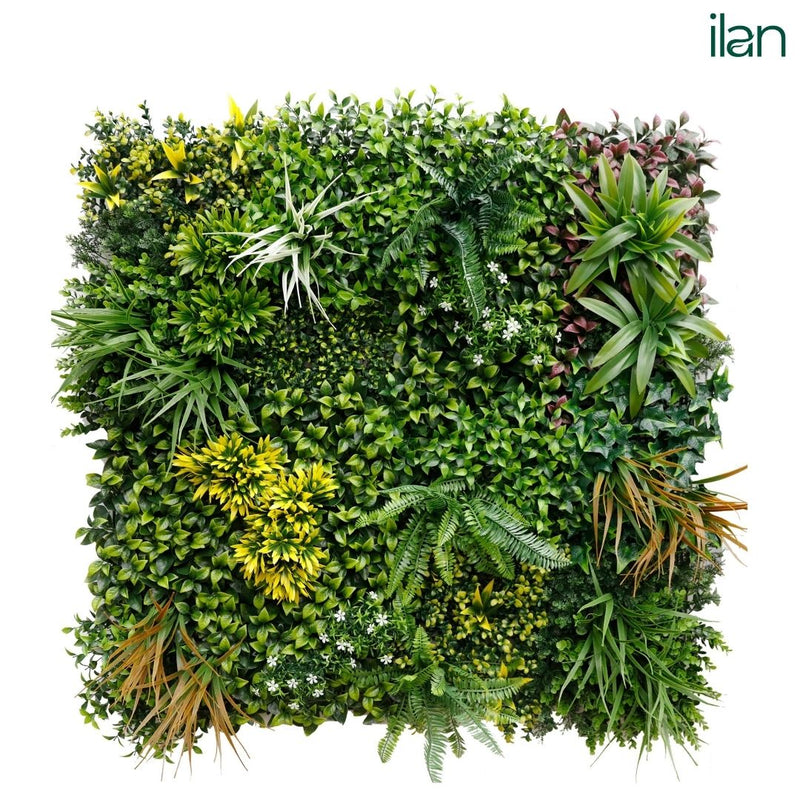 Autumnal Touch - ILAN INDIA