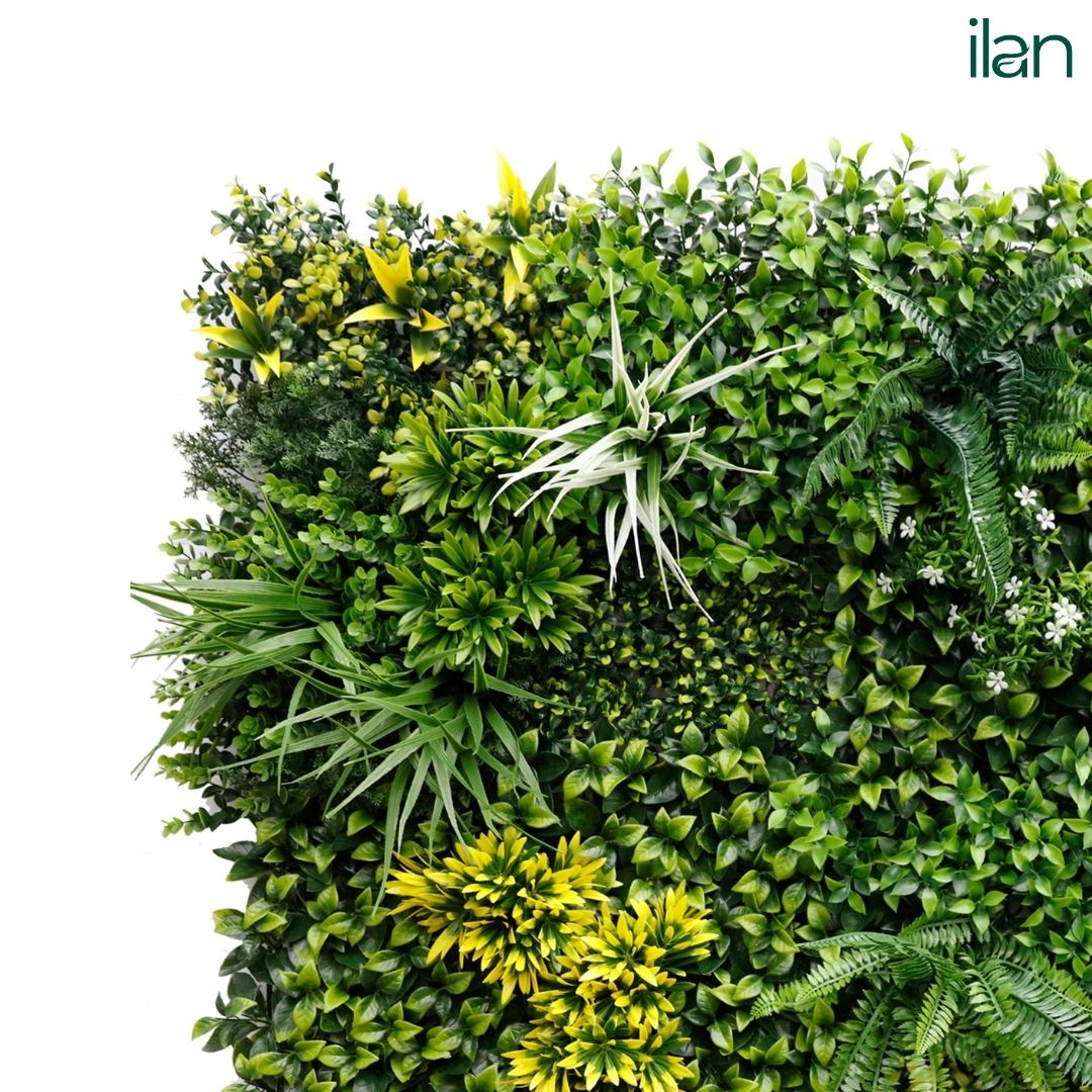 Autumnal Touch - ILAN INDIA