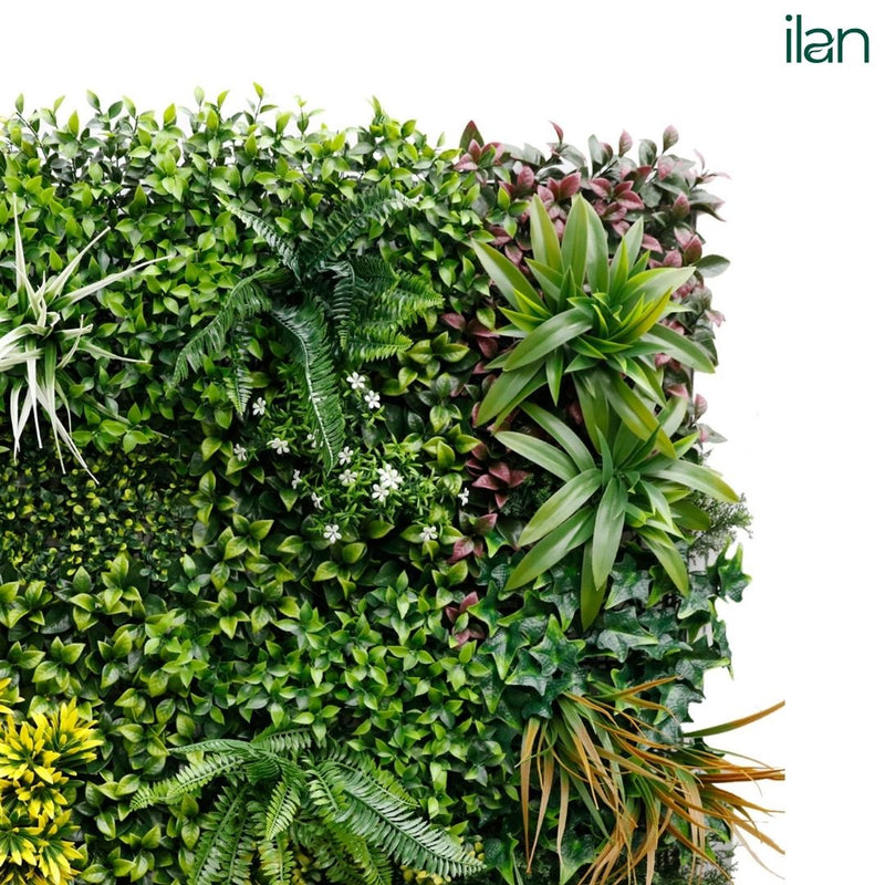 Autumnal Touch - ILAN INDIA