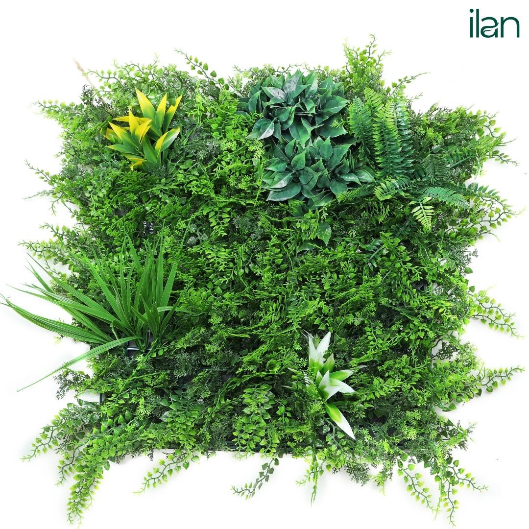 Coastal Forest - ILAN INDIA