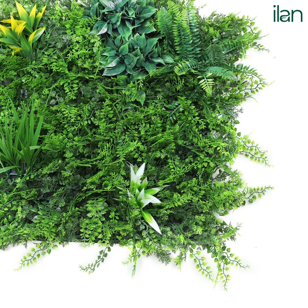 Coastal Forest - ILAN INDIA