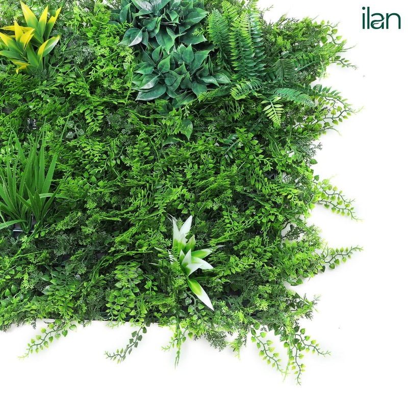 Coastal Forest - ILAN INDIA