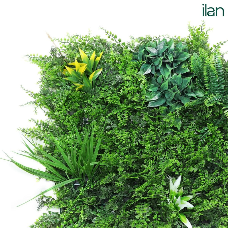Coastal Forest - ILAN INDIA