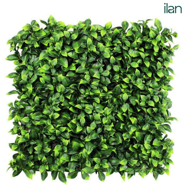 UV ARTIFICIAL GREENWALLS SIMPLE OPULENCE-(50X50) - ILAN INDIA