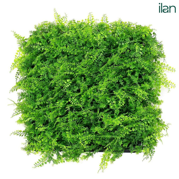 UV ARTIFICIAL GREENWALLS FERNS-(50X50) - ILAN INDIA