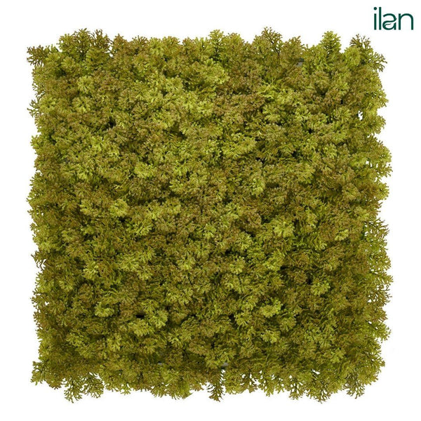 UV ARTIFICIAL GREENWALLS REINDEER MOSS - YELLOW GREEN-(50X50) - ILAN INDIA