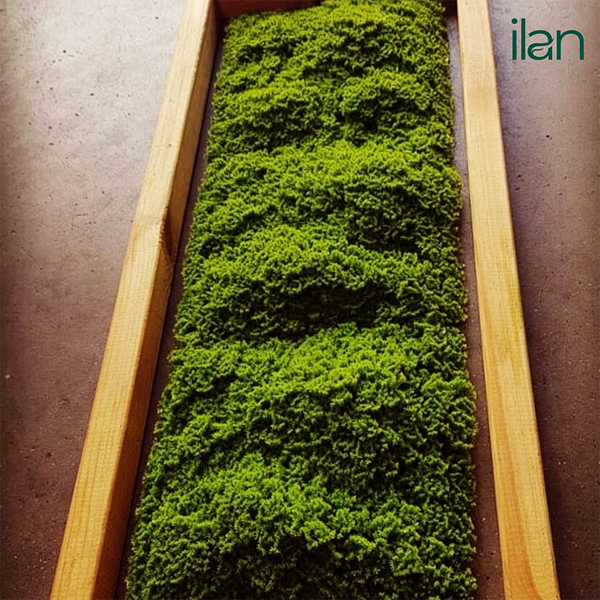 UV ARTIFICIAL GREENWALLS DARK GREEN MOSS-(50X50)